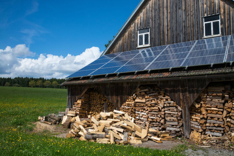 9 Strategies for Self-Sufficient Living
